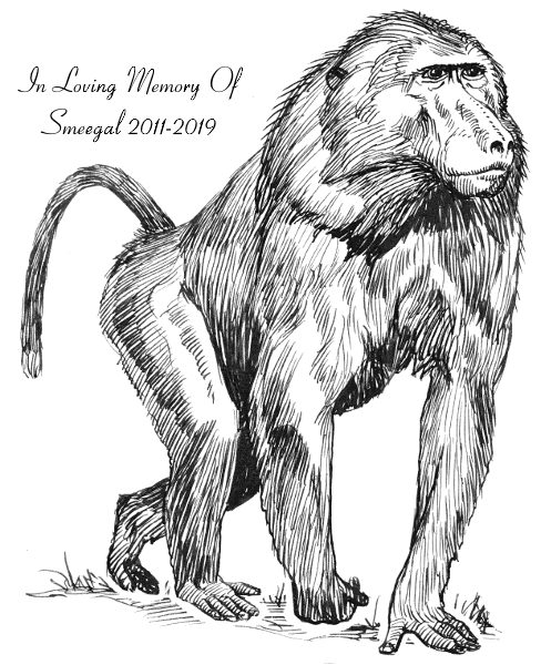 pngegg